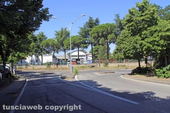 L'erba da nord al centro