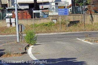 L'erba da nord al centro