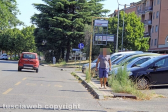 L'erba da nord al centro