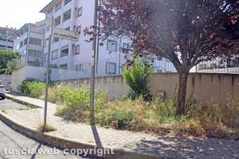 L'erba da nord al centro