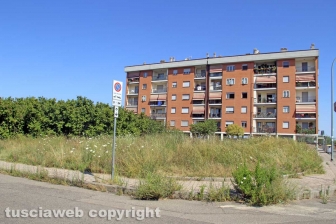 L'erba da nord al centro