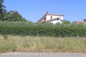 L'erba da nord al centro