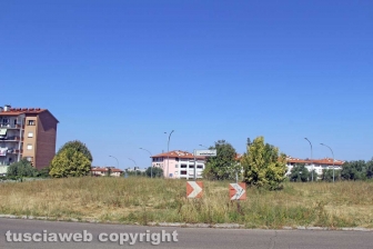 L'erba da nord al centro