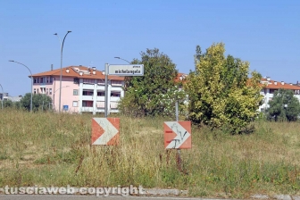 L'erba da nord al centro