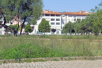 L'erba da nord al centro