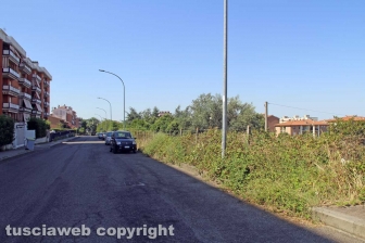 L'erba da nord al centro