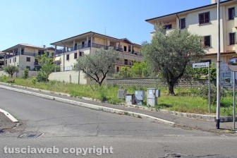 L'erba da nord al centro