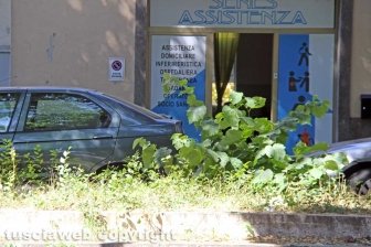 L'erba da nord al centro