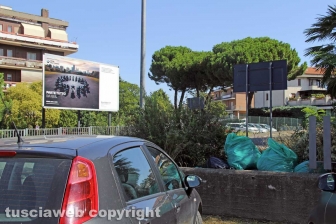 L'erba da nord al centro