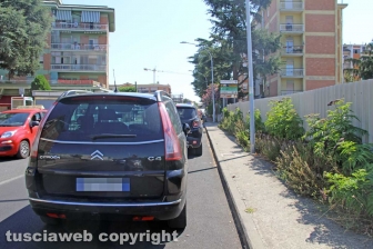 L'erba da nord al centro