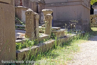L'erba da nord al centro