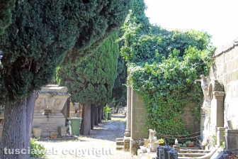 L'erba da nord al centro