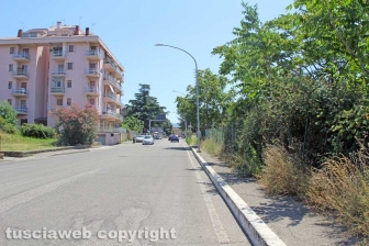 L'erba da nord al centro