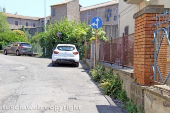 L'erba dal centro a sud