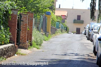 L'erba dal centro a sud
