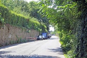 L'erba dal centro a sud