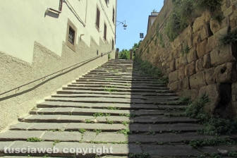 L'erba dal centro a sud