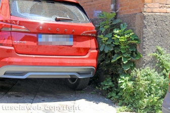 L'erba dal centro a sud