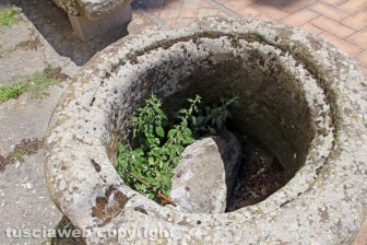L'erba dal centro a sud