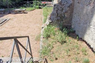 L'erba dal centro a sud