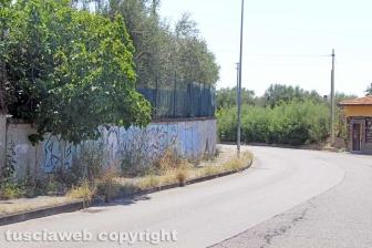 L'erba dal centro a sud