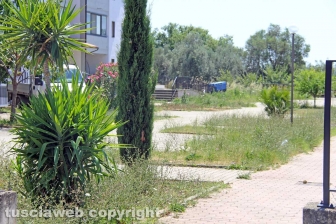L'erba dal centro a sud
