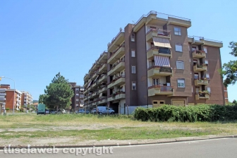 L'erba dal centro a sud