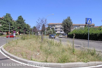 L'erba dal centro a sud