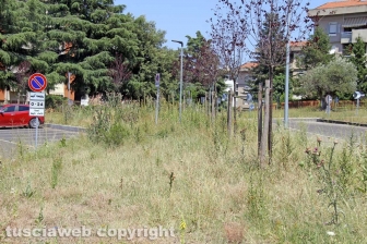 L'erba dal centro a sud