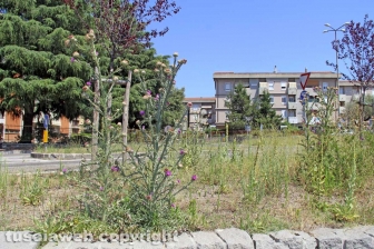 L'erba dal centro a sud