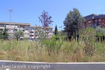 L'erba dal centro a sud