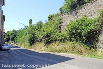 L'erba dal centro a sud