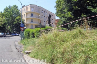 L'erba dal centro a sud