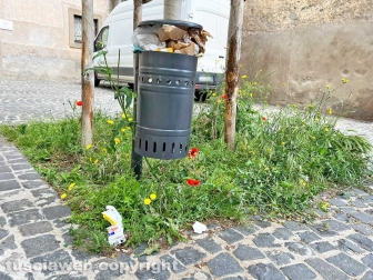 L'erba di San Faustino