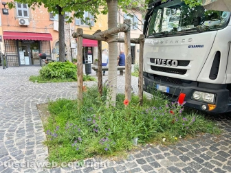 L'erba di San Faustino