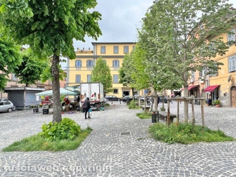 L'erba di San Faustino