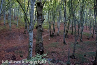 L'eremo di San Girolamo