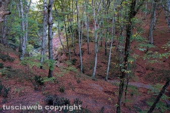 L'eremo di San Girolamo