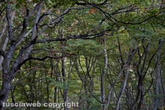 L'eremo di San Girolamo