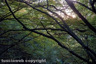 L'eremo di San Girolamo