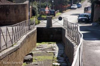 L\'etrusca Tuscania