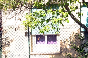L'ex scuola a Ponte di Cetti