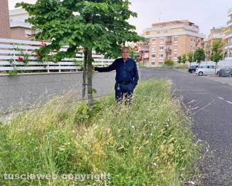 Viterbo - L'ex sindaco Giovanni Arena in mezzo all'erba alta nei pressi al palazzetto dell sport