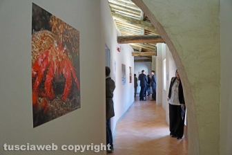 L'inaugurazione dell'ostello nel castello di Santa Severa