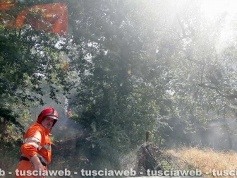 Bolsena - L'incendio al parco di Turona