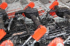 L\'incendio il giorno dopo