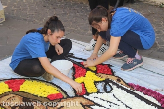 Bolsena - L'infiorata dagli ultimi ritocchi all'effetto finale