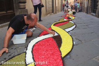Bolsena - L'infiorata dagli ultimi ritocchi all'effetto finale