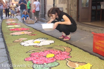 Bolsena - L'infiorata dagli ultimi ritocchi all'effetto finale