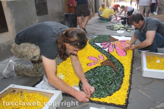 Bolsena - L'infiorata dagli ultimi ritocchi all'effetto finale